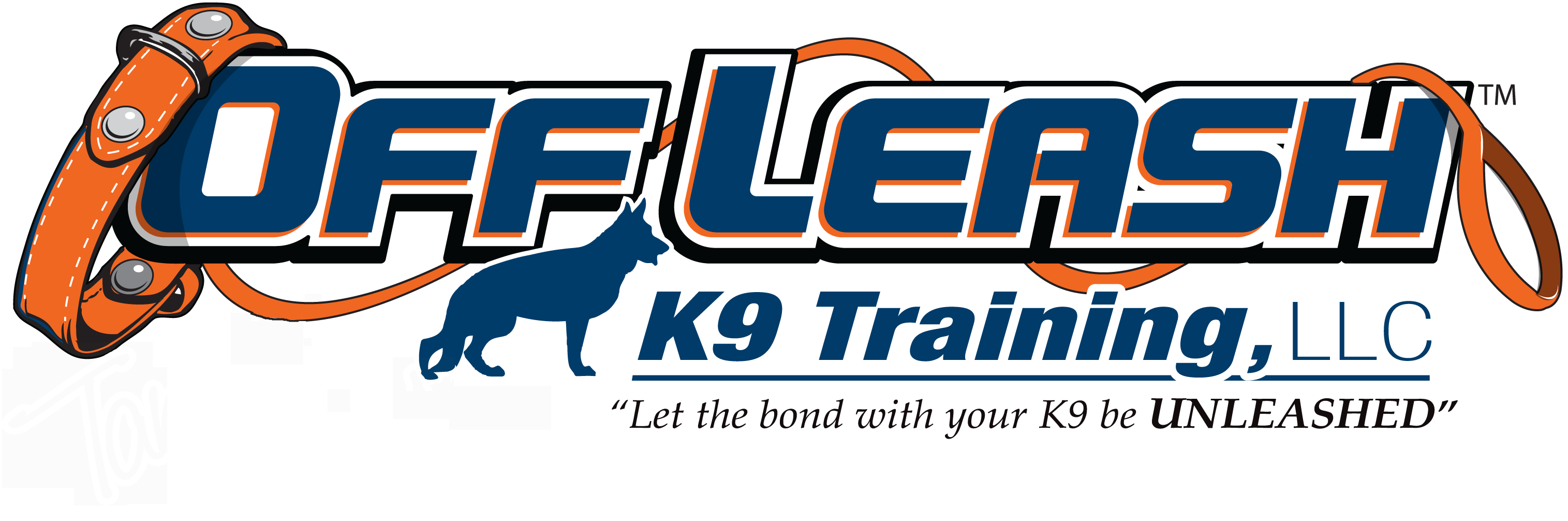 Tacoma Offleash K9 Dog Training